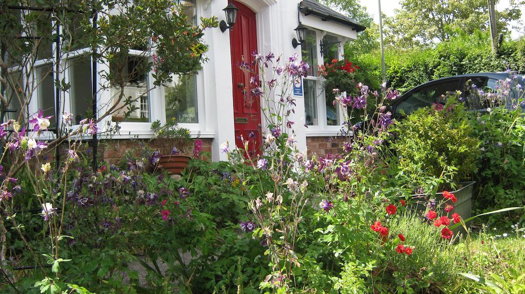 Woodbine City Rooms Exeter Eksteriør billede