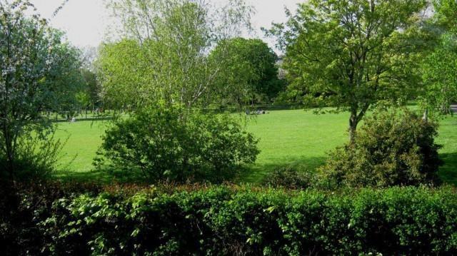 Woodbine City Rooms Exeter Eksteriør billede