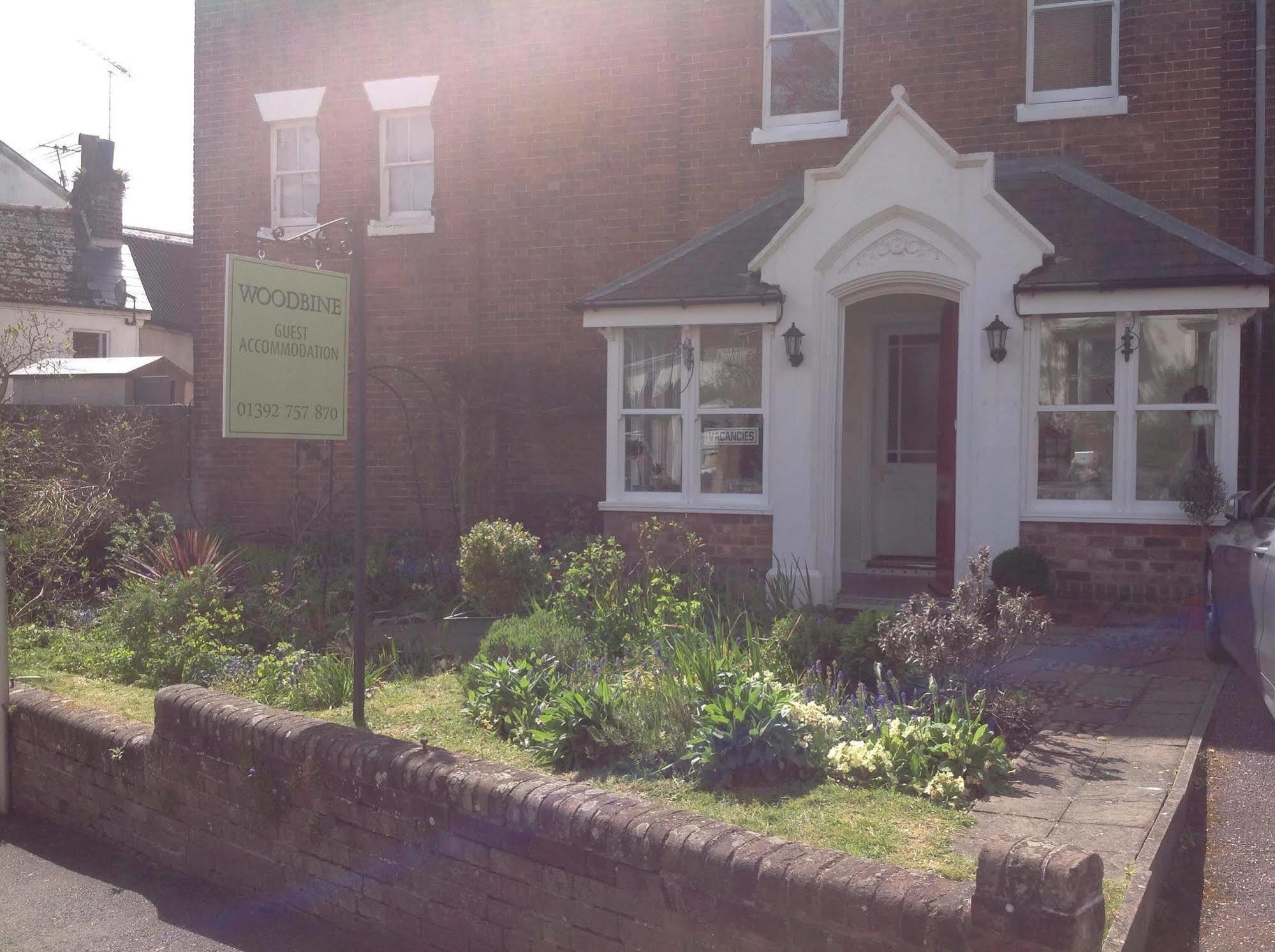 Woodbine City Rooms Exeter Eksteriør billede